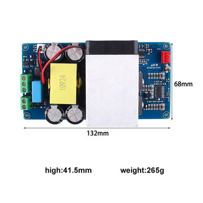 1000W Super Power Mono Digital Amplifier Board для субвуферов Профессиональный усилитель
