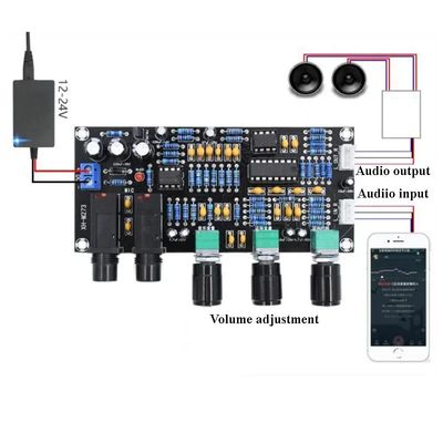 XH-M273 PT2399 Digital Preamplifier Board 12-24V DC с стереочастотой для управления микрофонами караоке