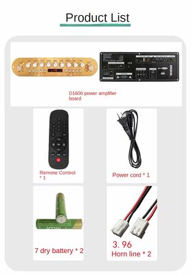 D1600 Portable Speaker Power Amplifier Board Square Dance Outdoor Karaoke Trolley Case for 12V Battery 220VDSP Sound